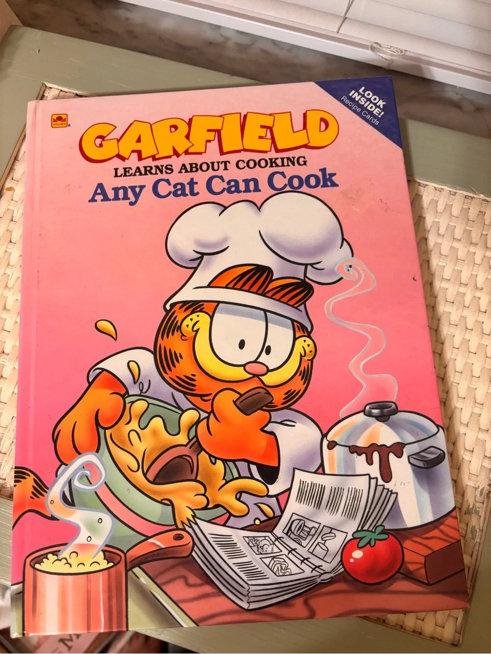 Any Cat Can Cook - Garfield Cookbook